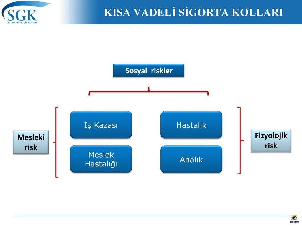 Sigorta Talepleri Süreci: Adım Adım